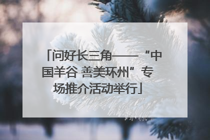 问好长三角——“中国羊谷 善美环州”专场推介活动举行
