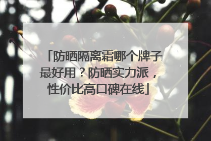 防晒隔离霜哪个牌子最好用？防晒实力派，性价比高口碑在线