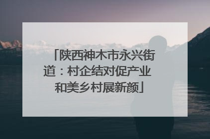 陕西神木市永兴街道：村企结对促产业 和美乡村展新颜