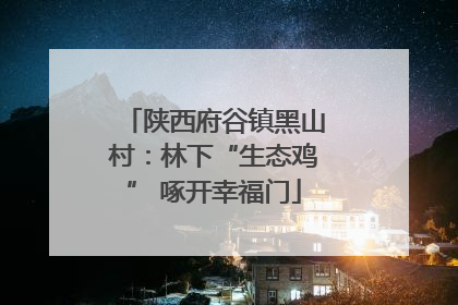 陕西府谷镇黑山村：林下“生态鸡” 啄开幸福门