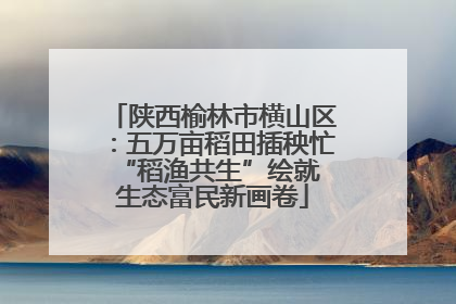 陕西榆林市横山区：五万亩稻田插秧忙 “稻渔共生”绘就生态富民新画卷