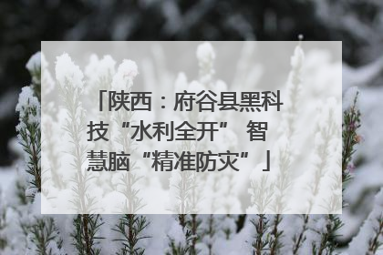 陕西：府谷县黑科技“水利全开” 智慧脑“精准防灾”