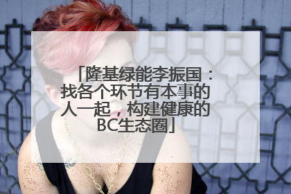 隆基绿能李振国：找各个环节有本事的人一起，构建健康的BC生态圈
