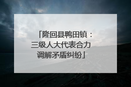 隆回县鸭田镇：三级人大代表合力调解矛盾纠纷