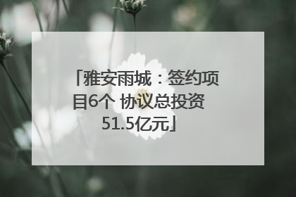 雅安雨城：签约项目6个 协议总投资51.5亿元