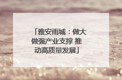 雅安雨城：做大做强产业支撑 推动高质量发展
