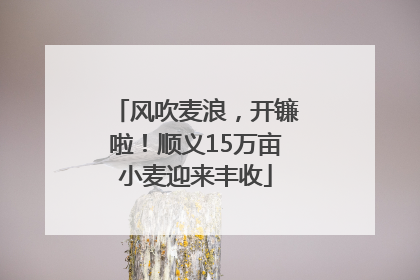 风吹麦浪，开镰啦！顺义15万亩小麦迎来丰收
