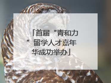 首届“青和力”留学人才嘉年华成功举办