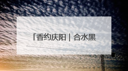 香约庆阳｜合水黑木村：梅花鹿鸵鸟共舞 文旅融合绘就“诗与远方”