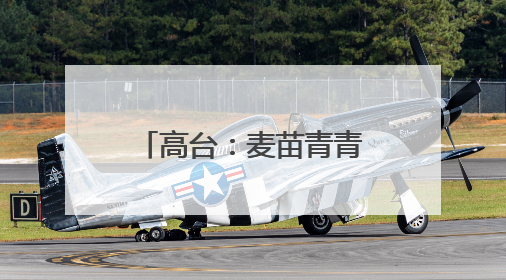 高台：麦苗青青“话”丰收 粮田孕育新“丰”景