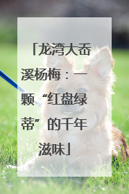 龙湾大岙溪杨梅：一颗“红盘绿蒂”的千年滋味