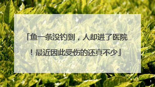 鱼一条没钓到，人却进了医院！最近因此受伤的还真不少