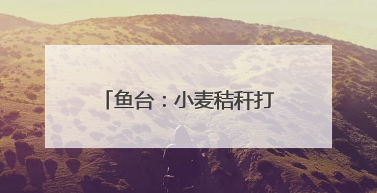 鱼台：小麦秸秆打捆离田综合利用