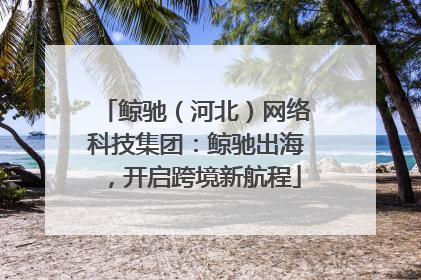 鲸驰（河北）网络科技集团：鲸驰出海，开启跨境新航程