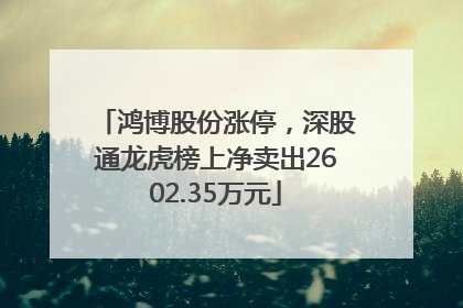 鸿博股份涨停，深股通龙虎榜上净卖出2602.35万元
