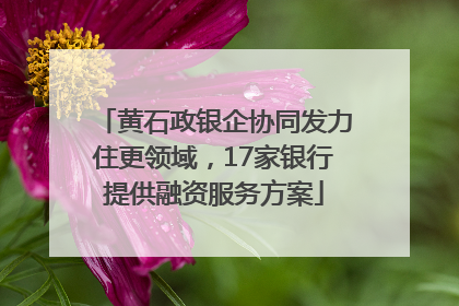 黄石政银企协同发力住更领域，17家银行提供融资服务方案