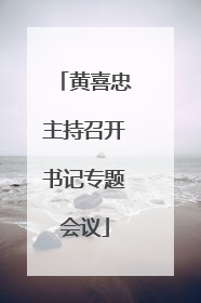 黄喜忠主持召开书记专题会议