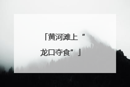 黄河滩上“龙口夺食”