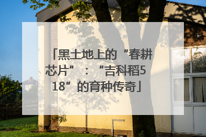 黑土地上的“春耕芯片”：“吉科稻518”的育种传奇