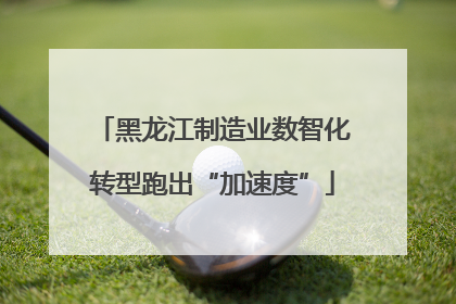 黑龙江制造业数智化转型跑出“加速度”