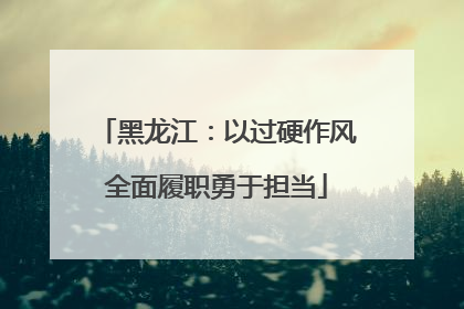 黑龙江：以过硬作风全面履职勇于担当