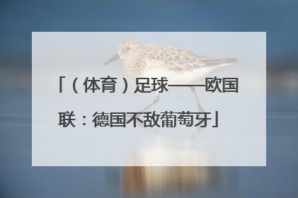 （体育）足球——欧国联：德国不敌葡萄牙