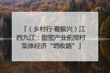 （乡村行·看振兴）江西九江：甜蜜产业拓宽村集体经济“增收路”