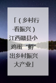（乡村行·看振兴）江西赣县小鸡蛋“孵”出乡村振兴大产业