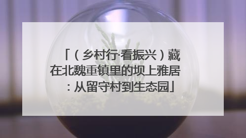（乡村行·看振兴）藏在北魏重镇里的坝上雅居：从留守村到生态园