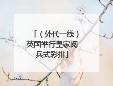 （外代一线）英国举行皇家阅兵式彩排