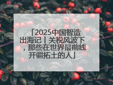 2025中国智造出海记丨关税风波下，那些在世界最前线开疆拓土的人