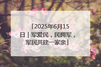 2025年6月15日｜军爱民，民拥军，军民共建一家亲