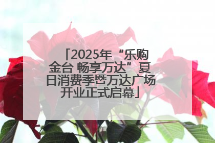 2025年“乐购金台 畅享万达”夏日消费季暨万达广场开业正式启幕