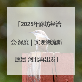 2025年廊坊经洽会·深度｜实现物流新愿景 河北再出发