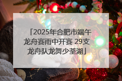 2025年合肥市端午龙舟赛雨中开赛 29支龙舟队龙舞少荃湖