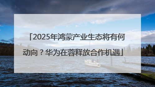 2025年鸿蒙产业生态将有何动向？华为在蓉释放合作机遇