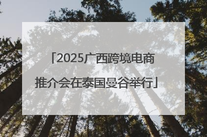 2025广西跨境电商推介会在泰国曼谷举行