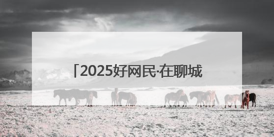 2025好网民·在聊城｜刘丽霞：当好家乡“推介官” 秀出乡村新风貌