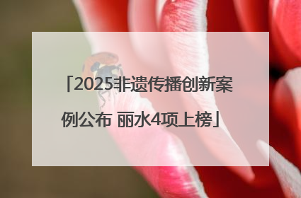 2025非遗传播创新案例公布 丽水4项上榜