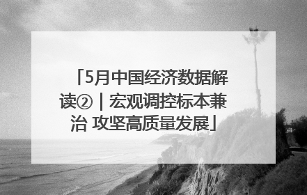 5月中国经济数据解读②｜宏观调控标本兼治 攻坚高质量发展