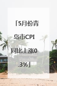 5月份青岛市CPI同比上涨0.3%