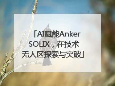 AI赋能Anker SOLIX，在技术无人区探索与突破