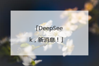 DeepSeek，新消息！